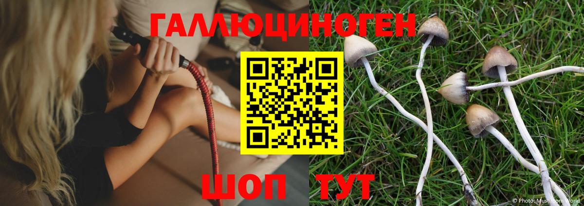 Ухта  Галлюциногенные грибы Psilocybe  Вход с VPN 